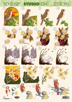 SL043 - Vogels