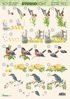 SL039 - Vogels