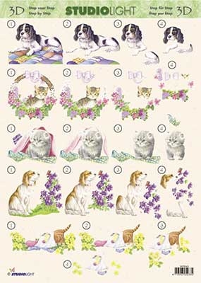 SL049 - Katten