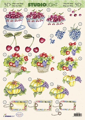 SL068 Studio Light Fruit