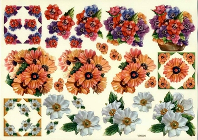 VB0020  Bloemen