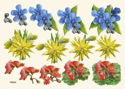 VB0052 Bloemen