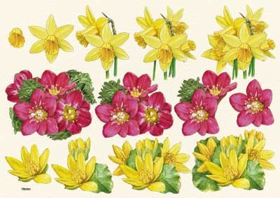 VB0053  Bloemen Narcissen