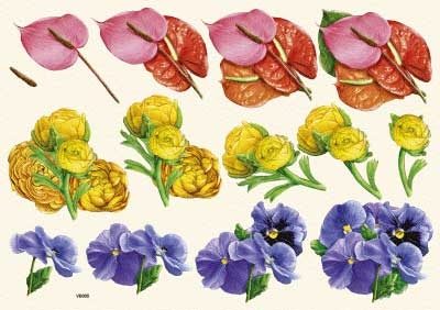 VB0055 Bloemen Ranonkel