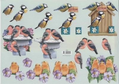VB0902 Vogelhuisje/Vogels