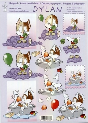 503607 Knipvel  Leane Creatief Dylan