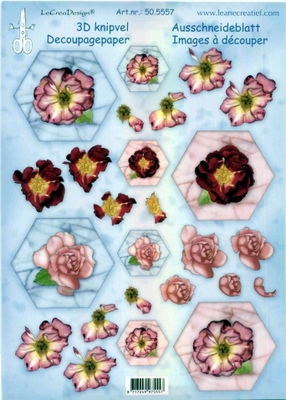 505557 Knipvel  Leane Creatief bloemen