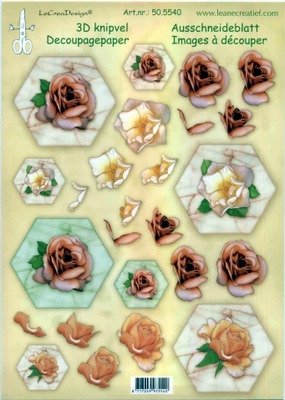 505540 Knipvel  Leane Creatief bloemen