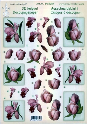 505984 Knipvel  Leane Creatief bloemen