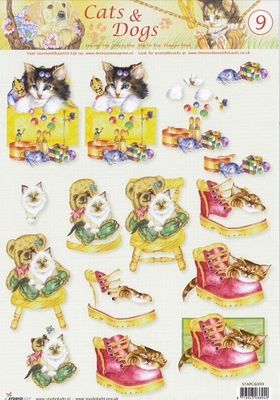 STAPC&D09  Cats  & Dogs Studio Light
