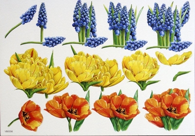 VB0056 Bloemen