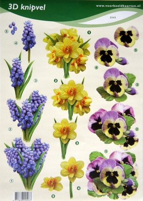 VB2543 Bloemen