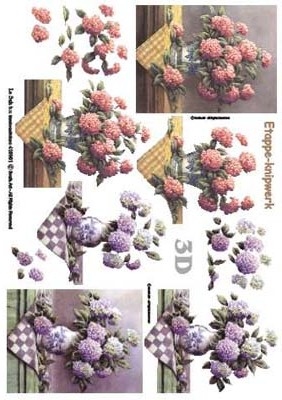 4169061 Bloemen