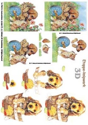 4169063 Hondje en poesje