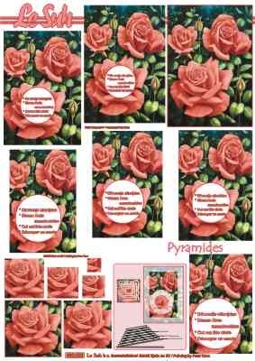 630004 Le Suh Pyramids bloemen