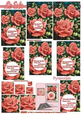 630003 Le Suh Pyramids bloemen