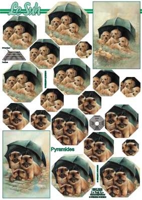 630029 Le Suh Pyramids puppies