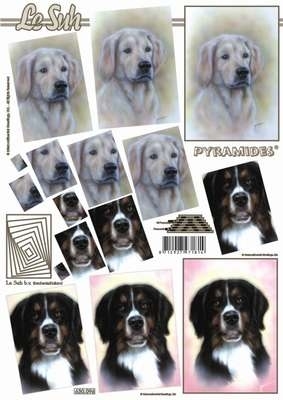 630096 Le Suh Pyramids honden