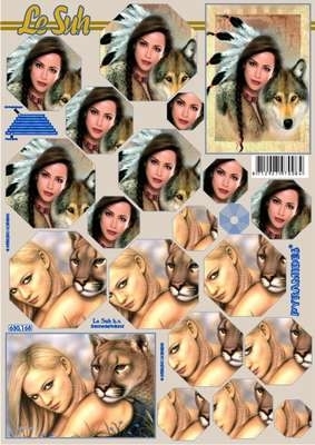 630168 Le Suh Pyramids indiaan