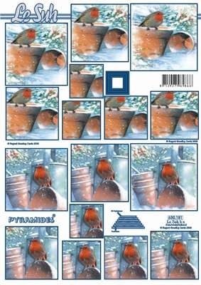 630181 Le Suh Pyramids vogel