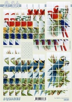 630207 Le Suh Pyramids vogels