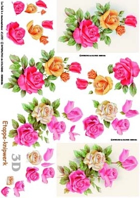 4169081 Bloemen