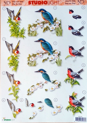 SL168 Studio Light Vogels