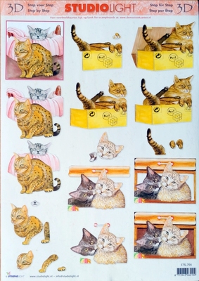 SL766 Studio Light Katten
