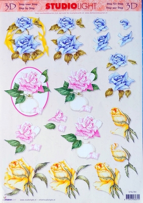 SL781 Studio Light bloemen
