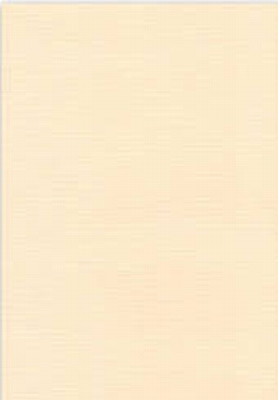 Vierkant karton 13,5 X 27 cm  Nr 07 Charmois 5 vel
