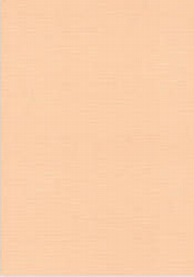 Vierkant karton 13,5 X 27 cm  Nr 09 Zalm per 5 vel