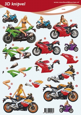 VB2446 Motormeisje Pin Ups