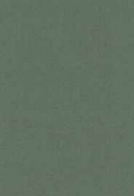 Vierkant karton 13,5 X 27 cm  Nr 41 Basil per 5 vel
