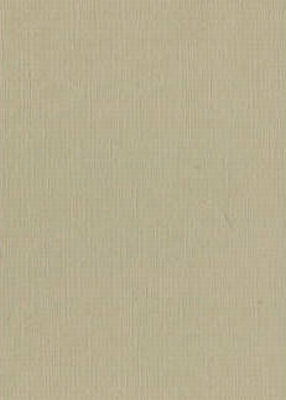 Vierkant karton 13,5 X 27 cm  Nr 53 Taupe per 5 vel