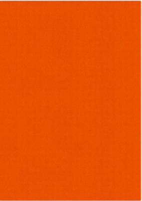 Vierkant karton 13,5 X 27 cm  Nr 59 Autumn Orange 5 vel