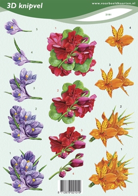 VB2101 Bloemen