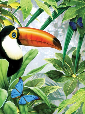 PJS53 PBN Junior Small JUNGLE TOUCAN