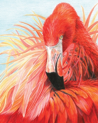 CPN23 - Kleuren op nummer - CPN - FLAMINGO