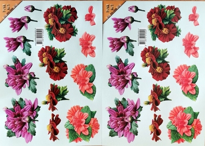 SET102 Duo 2 Uitdrukvellen 2 X PO1050