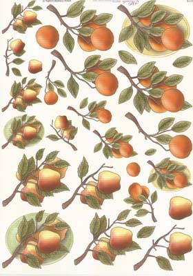 E176 Mireille Fruit 10 veper 10 vel