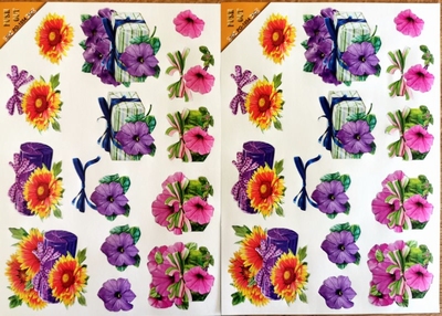 SET111 Duo 2 Uitdrukvellen 2 X PO1054