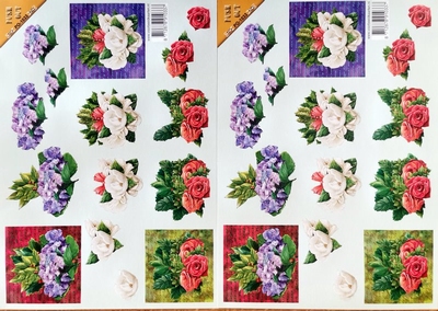 SET112 Duo 2 Uitdrukvellen 2 X PO1033