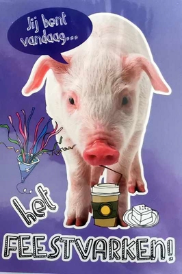 k097 Jij bent vandaag...het feestvarken