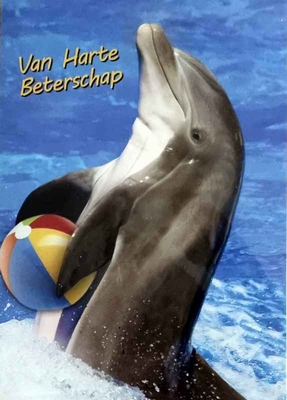 K131 Van Harte Beterschap