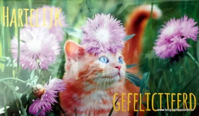 CEN019 Cadeau/geld envelop Hartelijk Gefeliciteerd