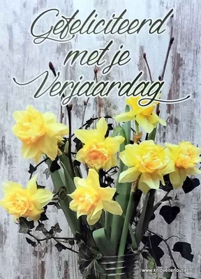 K323 Gefeliciteerd met je Verjaardag