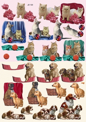 JD120 3D Knipvel met 6 3D afbeeldingen Honden/Katten