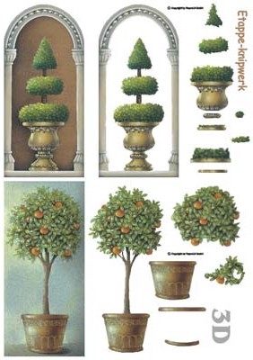 4169020 3D Sinaasappelboom
