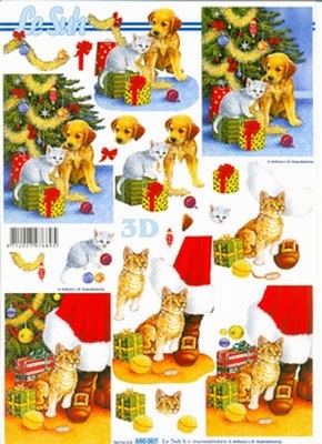 650007 Le Suh Kerst