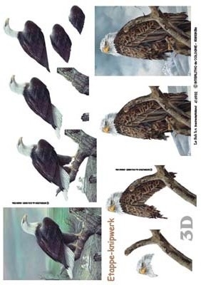 4169032 - 3D Arend